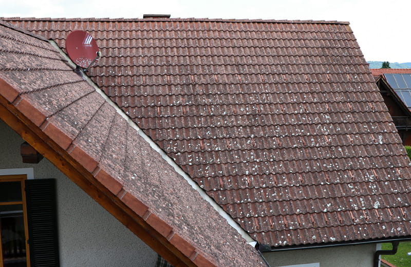Dach dreckig Flechten