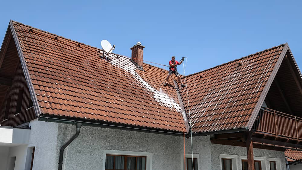 Dachreinigung Dachmax vorher 01
