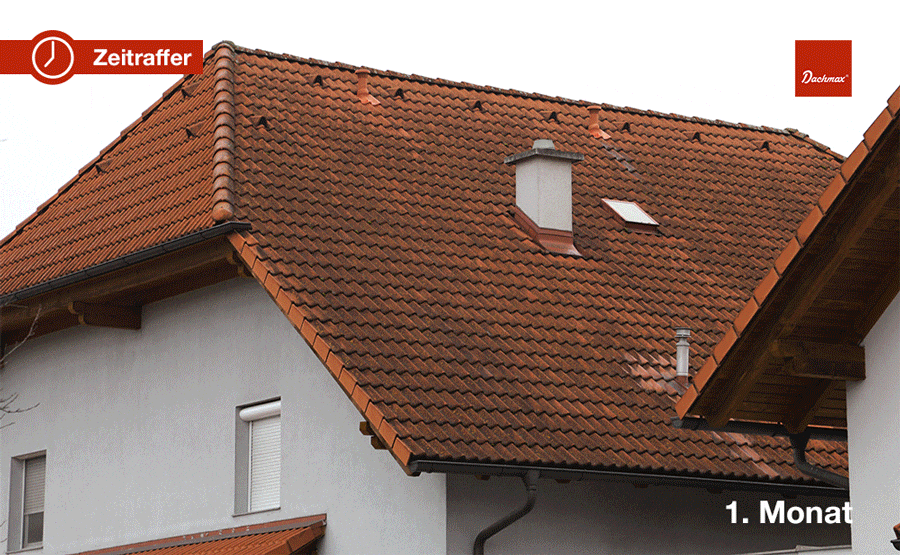 Dachmax Dachreinigung Zeitraffer